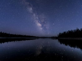 silhouette of trees near body of water under sky with stars