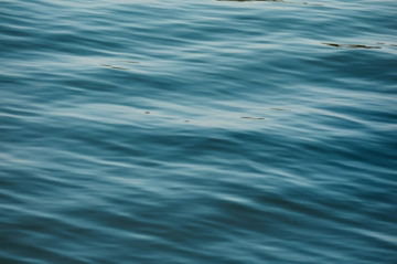 Rippling blue water surface with gentle waves.