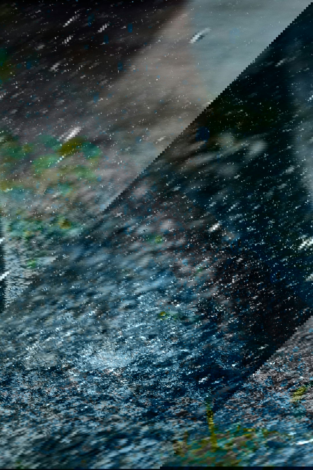 water droplets on glass window