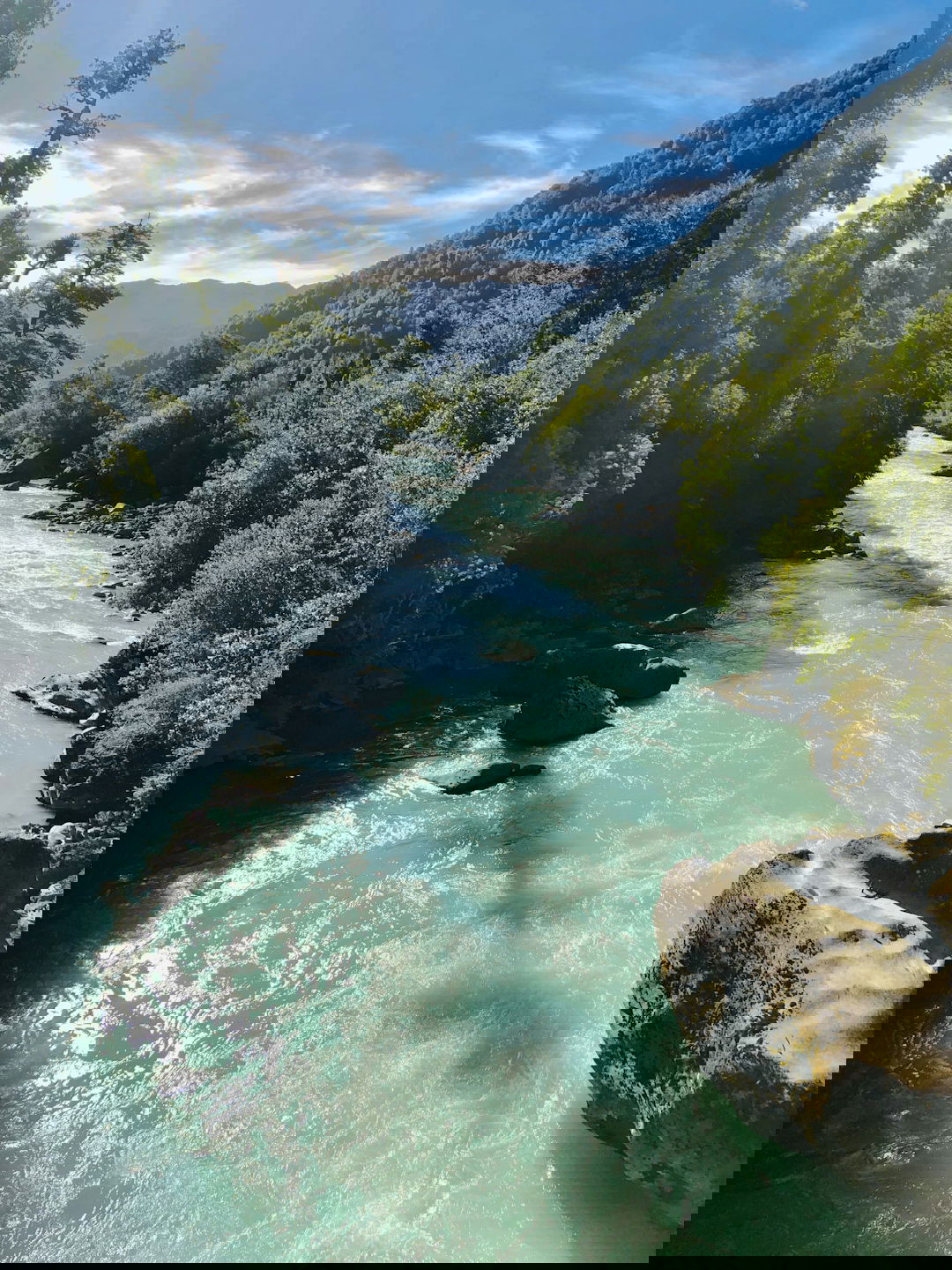 a river running through a lush green forest